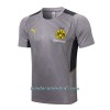 Camiseta De Entrenamiento BVB Borussia Dortmund 2022-23 Gris Claro - Hombre